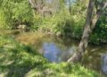 28.04.2025. Koprzywnica. Sprzątanie rzeki Koprzywianki / Fot. Grażyna Szlęzak - Radio Kielce