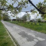 18.04.2025. Kielce. Deptak na os. Świętokrzyskim Broadway / /Fot. Jarosław Kubalski - Radio Kielce