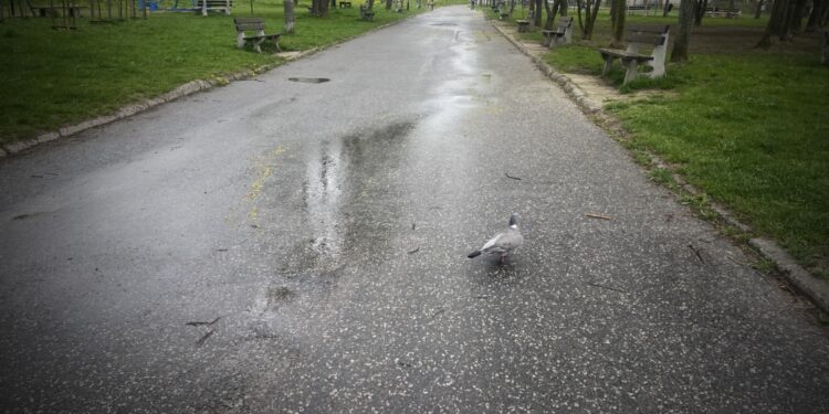 Mieszkańcy będą mogli wypowiedzieć się ws. rewitalizacji Broadwayu - Radio Kielce 18.04.2025. Kielce. Deptak na os. Świętokrzyskim Broadway / /Fot. Jarosław Kubalski - Radio Kielce