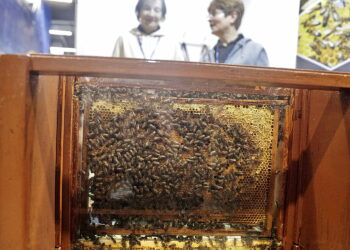 Fot. Jarosław Kubalski - Radio Kielce