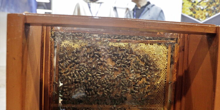 Fot. Jarosław Kubalski - Radio Kielce