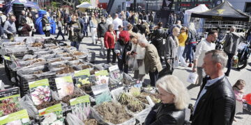 27.04.2025. Kielce. Targi Dom, Ogród i Ty. / Fot. Jarosław Kubalski - Radio Kielce