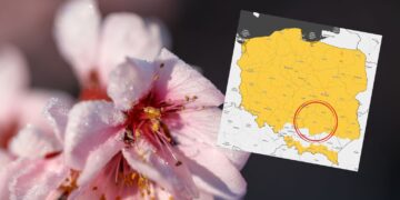Przed nami szczyt fali zimna. Przymrozki mogą spowodować straty