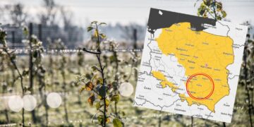 Przymrozki nie opuszczą świętokrzyskiego. IMGW ostrzega!
