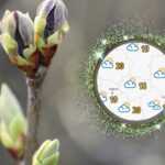 Wiemy, kiedy wróci do nas Pani Wiosna!