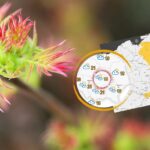 Ostatni podmuch zimy. Naciąga wiosennym żar