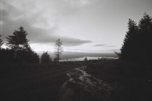 Muzyczne podróże przez świat. Irlandia / Fot. Bartek Bogucki