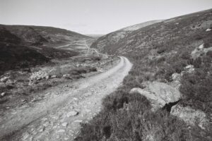 Muzyczne podróże przez świat. Irlandia / Fot. Bartek Bogucki