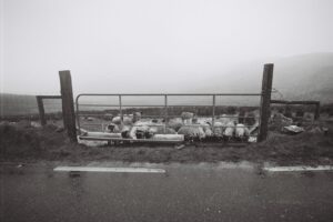Muzyczne podróże przez świat. Irlandia / Fot. Bartek Bogucki