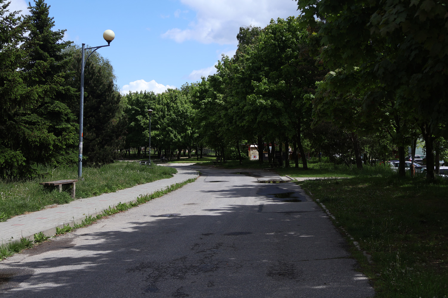 „Kielecki Broadway” doczeka się rewitalizacji - Radio Kielce 15.05.2025. Kielce. Ulica Daszyńskiego, kielecki „Broadway” / Fot. Adrian Dróżdż – Radio Kielce