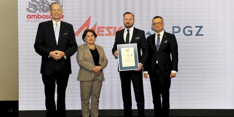 MESKO z nagrodą za innowacyjne osiągniecia na rynku międzynarodowym