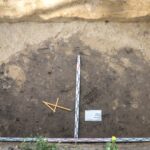 Prace archeologiczne przy Pałacu Wielopolskich w Częstocicach / źródło: Pałac Wielopolskich w Częstocicach - Facebook