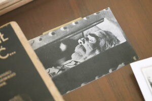16.05.2025 Kielce. WDK. Wystawa poświęcona Marszałkowi Józefowi Piłsudskiemu / Fot. Wiktor Taszłow - Radio Kielce