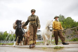 17.05.2025. Kielce. Skwer Edmunda Niziurskiego. Piknik historyczny z okazji 81. rocznicy bitwy o Monte Cassino / Fot. Wiktor Taszłow - Radio Kielce