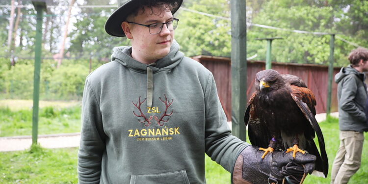 Szkoła leśna w Zagnańsku zorganizowała dzień otwarty