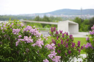Majówka w ogrodzie botanicznym