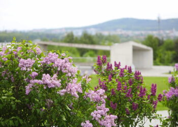 Majówka w ogrodzie botanicznym