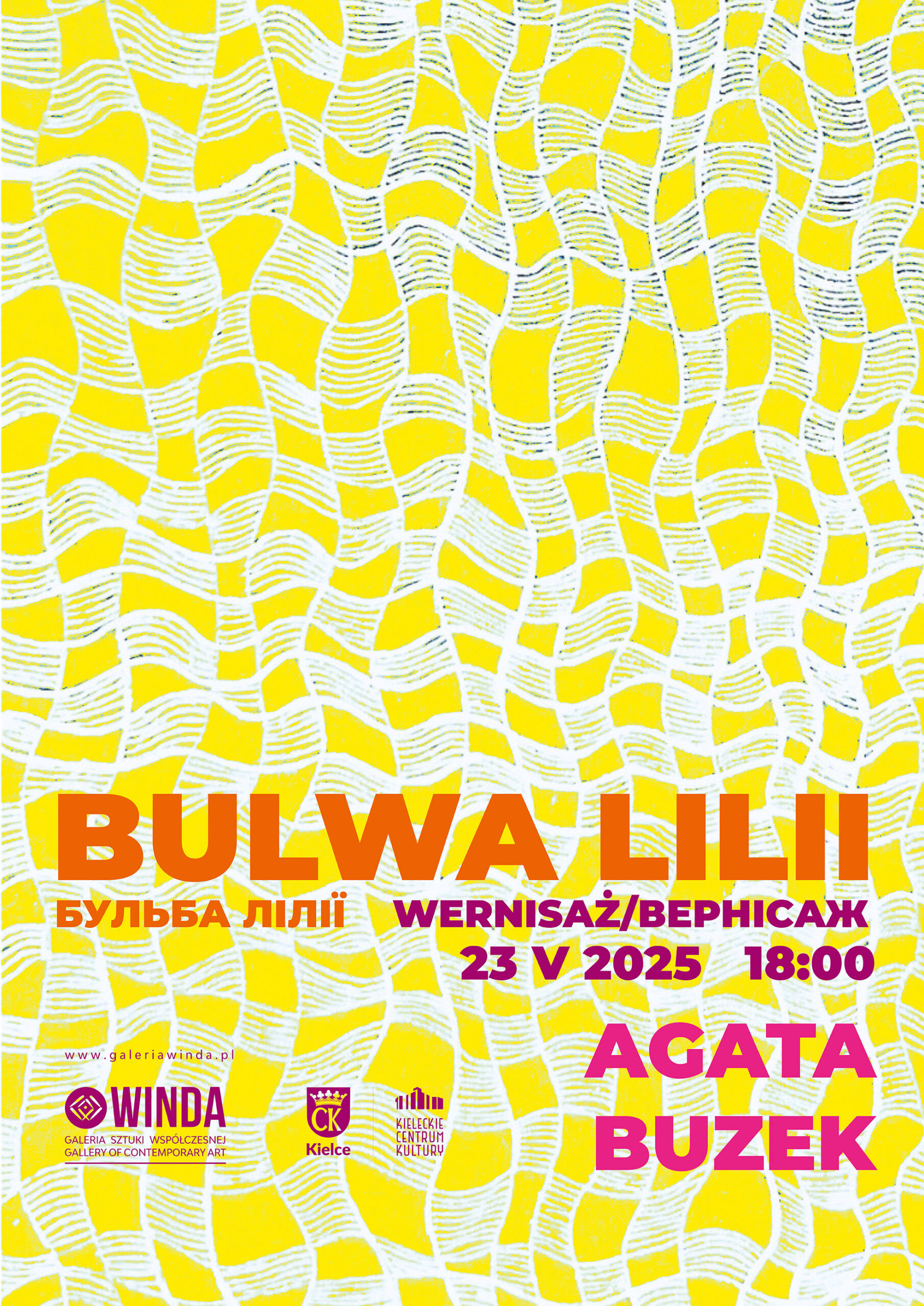 Bulwa lilii – wernisaż wystawy Agaty Buzek - Radio Kielce