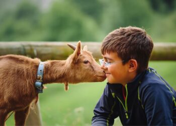 Kozy najlepszym przyjacielem człowieka? / Fot. Canva zdjęcie poglądowe