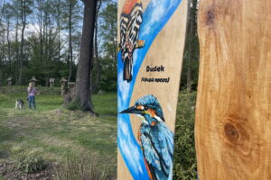 Święto pracy inaczej. Tłumy w Maleńcu - Radio Kielce