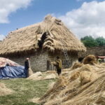 Nowa strzecha na trzech obiektach w skansenie