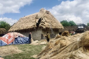 Nowa strzecha na trzech obiektach w skansenie