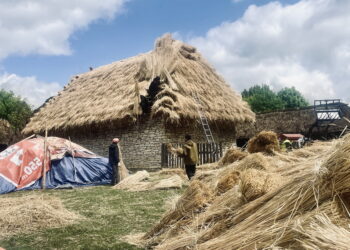 Nowa strzecha na trzech obiektach w skansenie