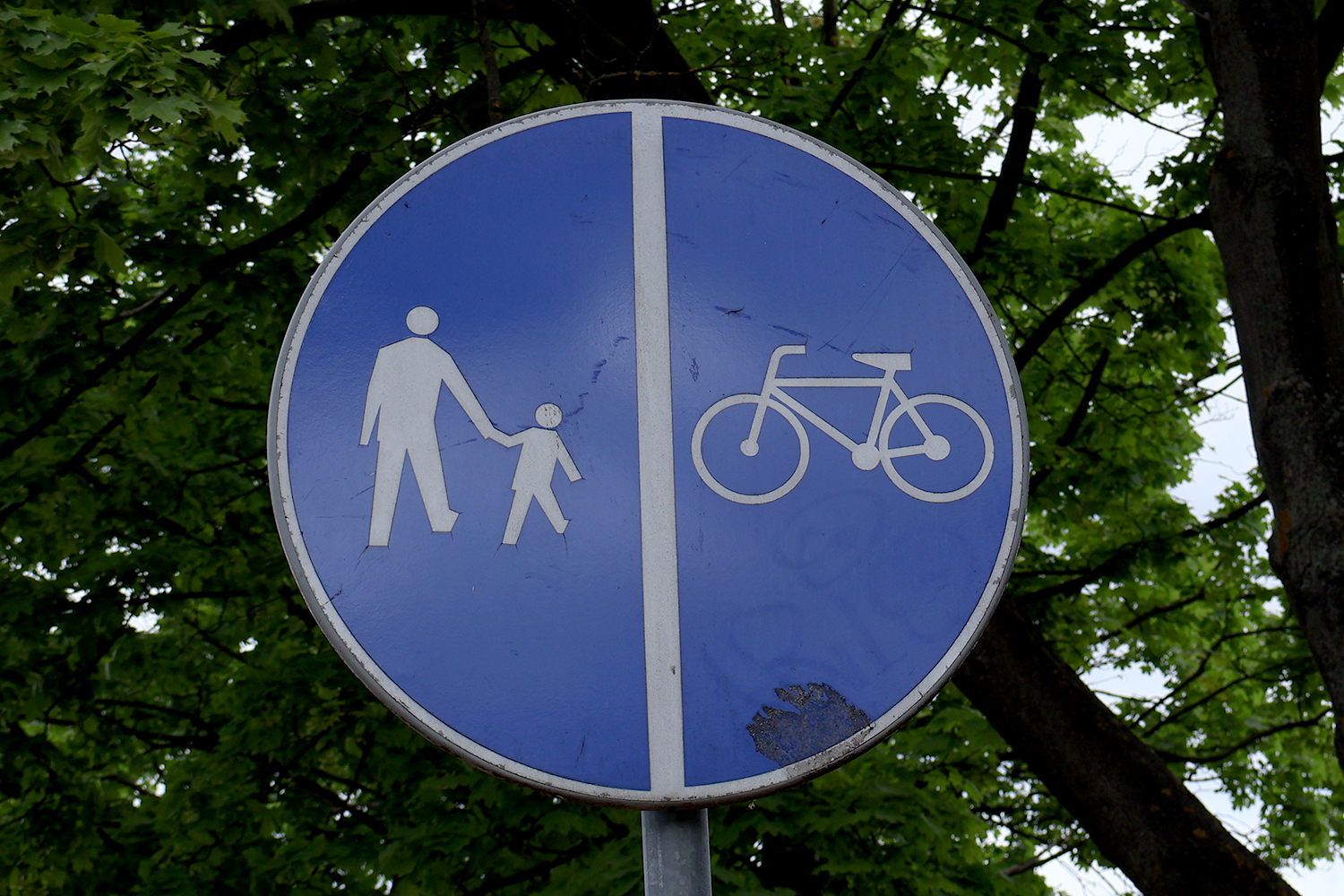 Rowerowe SPA VELO nabiera kształtów