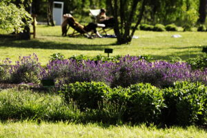 Kolorowa majówka w Ogrodzie Botanicznym - Radio Kielce