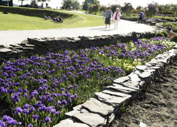Kolorowa majówka w Ogrodzie Botanicznym