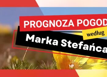 Warto zbierać deszczówkę. Jak to robić? - Radio Kielce
