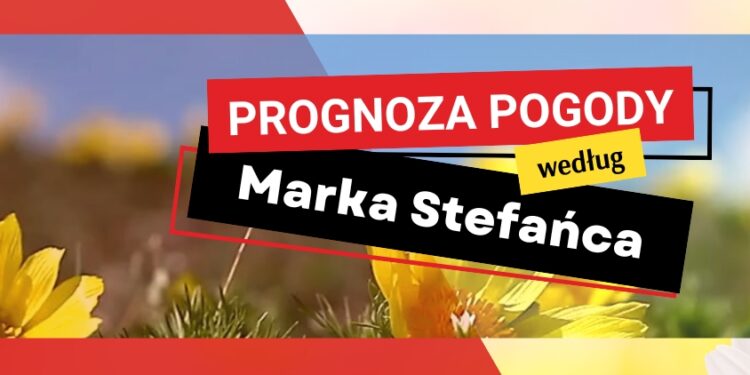 Warto zbierać deszczówkę. Jak to robić? - Radio Kielce