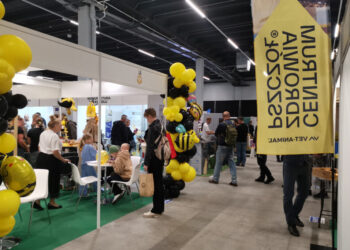 W kalendarzu mamy Światowy Dzień Pszczół - Radio Kielce