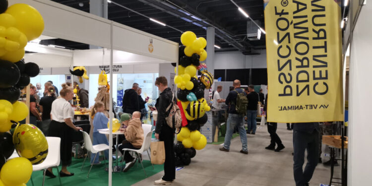 W kalendarzu mamy Światowy Dzień Pszczół - Radio Kielce