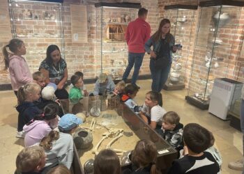 13.06.2025. Muzeum Zamkowe w Sandomierzu. Europejskie Dni Archeologii / Fot. Grażyna Szlęzak - Radio Kielce