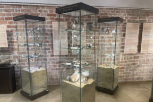 13.06.2025. Muzeum Zamkowe w Sandomierzu. Europejskie Dni Archeologii / Fot. Grażyna Szlęzak - Radio Kielce