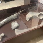 13.06.2025. Muzeum Zamkowe w Sandomierzu. Europejskie Dni Archeologii / Fot. Grażyna Szlęzak - Radio Kielce