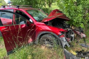 Samochód wjechał w drzewo. Dwie osoby w szpitalu