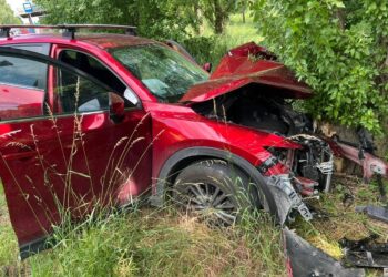Samochód wjechał w drzewo. Dwie osoby w szpitalu