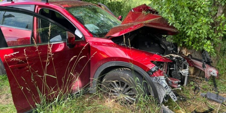 Samochód wjechał w drzewo. Dwie osoby w szpitalu
