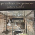13.06.2025. Muzeum Zamkowe w Sandomierzu. Europejskie Dni Archeologii / Fot. Grażyna Szlęzak - Radio Kielce