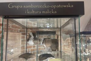 13.06.2025. Muzeum Zamkowe w Sandomierzu. Europejskie Dni Archeologii / Fot. Grażyna Szlęzak - Radio Kielce
