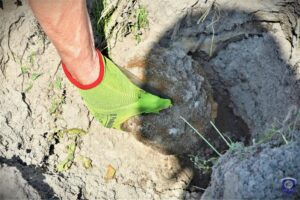 04.06.2025. Ludwinów. Zabezpieczenie i usunięcie pocisków / źródło: cpdmz.wp.mil.pl