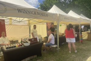 21.06.2025. Sandomierz. Piknik Kwitnących Winorośli / Fot. Grażyna Szlęzak - Radio Kielce