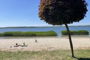 30.06.2025. Jezioro Tarnobrzeskie / Fot. Grażyna Szlęzak - Radio Kielce