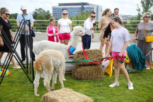 29.06.2025. Kielce. Ogród Botaniczny. Piknik Radia Kielce / Fot. Wiktor Taszłow - Radio Kielce
