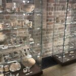 13.06.2025. Muzeum Zamkowe w Sandomierzu. Europejskie Dni Archeologii / Fot. Grażyna Szlęzak - Radio Kielce