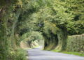 MUZYCZNE PODRÓŻE. Road trip po Irlandii. Cz. 2