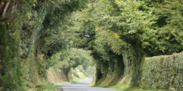 MUZYCZNE PODRÓŻE. Road trip po Irlandii. Cz. 2