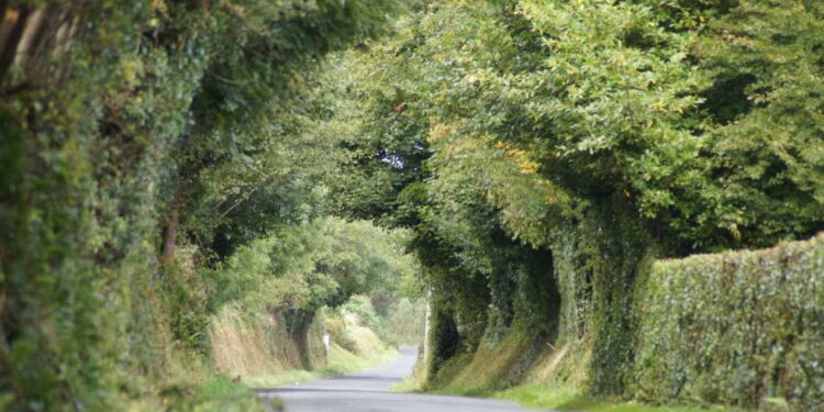 MUZYCZNE PODRÓŻE. Road trip po Irlandii. Cz. 2